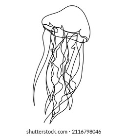 Continuous Line Drawing Jellyfish Sketch Vector Stock Vector (Royalty ...