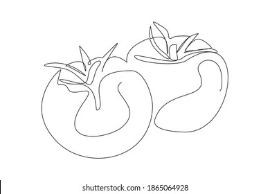 Continuous line drawing of juicy tomato. One line art concept of fresh fruit and vegetable. Vector illustration