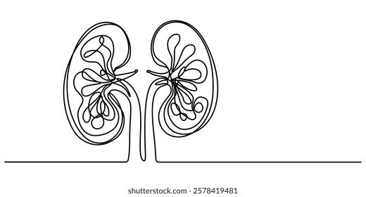 Continuous Line Drawing of Kidney Icon. Hand Drawn Symbol Vector Illustration, Human kidney continuous one line drawing vector illustration, Vector hand drawn style design for health and medical. 