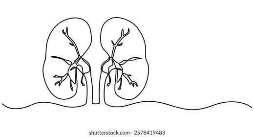 Continuous Line Drawing of Kidney Icon. Hand Drawn Symbol Vector Illustration, Human kidney continuous one line drawing vector illustration, Vector hand drawn style design for health and medical. 