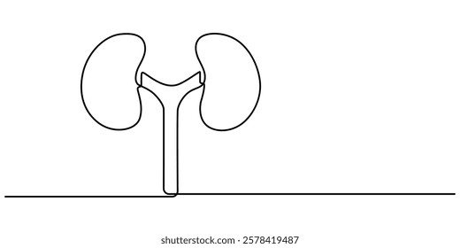 Continuous Line Drawing of Kidney Icon. Hand Drawn Symbol Vector Illustration, Human kidney continuous one line drawing vector illustration, Vector hand drawn style design for health and medical. 