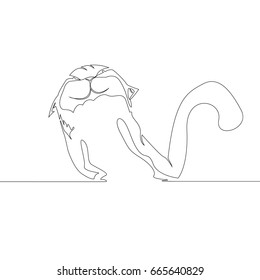 continuous line drawing of kitten or idea metaphor