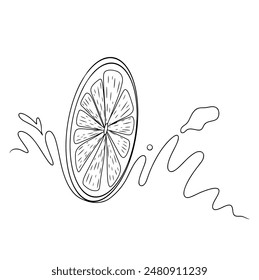 dibujo de línea continua de kiwi aislado sobre fondo transparente. Ilustración vectorial