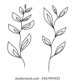 continuous line drawing of leaves plant isolated on transparent background. Vector illustration