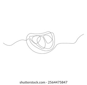 continuous line drawing of lemon fruit slice or orange fruit slice. Single line concept of orange fruit slice in scribble style on white background. Vector illustration