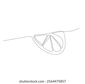 continuous line drawing of lemon fruit slice or orange fruit slice. Single line concept of orange fruit slice in scribble style on white background. Vector illustration