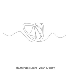 continuous line drawing of lemon fruit slice or orange fruit slice. Single line concept of orange fruit slice in scribble style on white background. Vector illustration