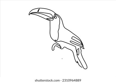 continuous line drawing of long beak bird illustration