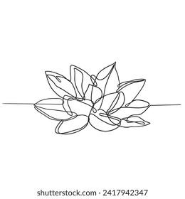 continuous line drawing Lotus flower illustration
