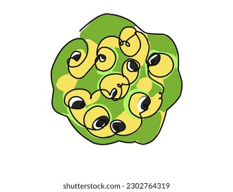 continuous line drawing of lotus seed.