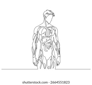Dibujo de línea continua de la estructura del órgano del cuerpo del hombre. Ilustración de una sola línea de la estructura del órgano del cuerpo masculino. Concepto médico. Esquema editable