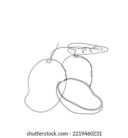 continuous line drawing mango fruit illustration vector