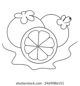Línea continua de dibujo de mangostán con hoja.Ilustración vectorial.