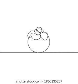 Continuous line drawing of mangosteen, object one line, single line art, vector illustration