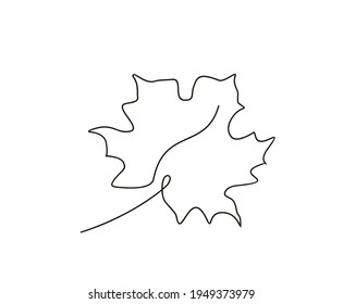 Continuous line drawing of maple leaf. Abstract single maple art design.