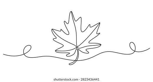 Continuous line drawing maple