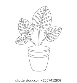 Continuous Line Drawing of Maranta Lemon Lime Plant in Pot – Minimalist Line Art Illustration
