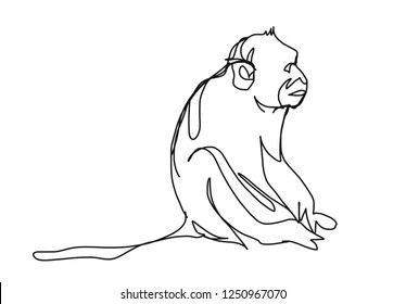 Continuous Line Drawing Of Monkey