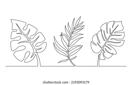 Continuous Line Drawing Of Monstera Leaf And Palm Tree Leaves. Modern Single Line Art, Aesthetic Contour. Vector Illustration.