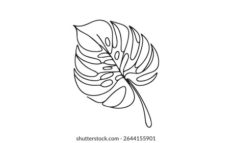 Continuous Line Drawing of a Monstera Leaf with Editable Stroke