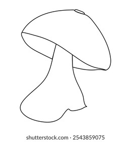  continuous line drawing of mushroom isolated on transparent background. Vector illustration
