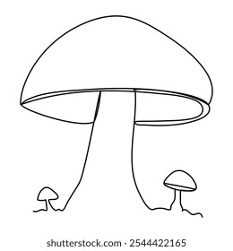  continuous line drawing of mushroom isolated on transparent background. Vector illustration