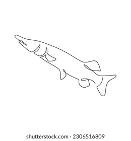 continuous line drawing of a Muskellunge fish on a white background. Vector illustration