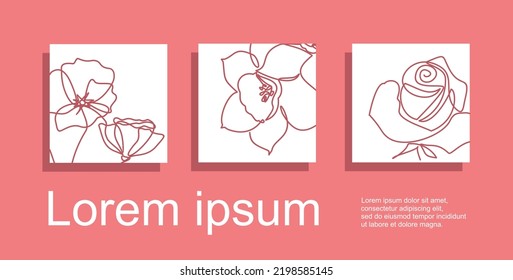 Continuous line drawing of narcissus flower, rose and Poppy flowers.  Abstract minimal flora