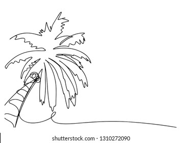 continuous line drawing of a natural coconut tree Vector Illustration