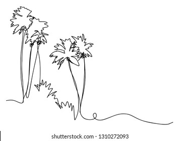 continuous line drawing of a natural coconut tree Vector Illustration