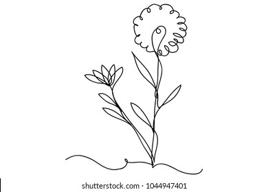 continuous line drawing of natural flowers vector illustration
