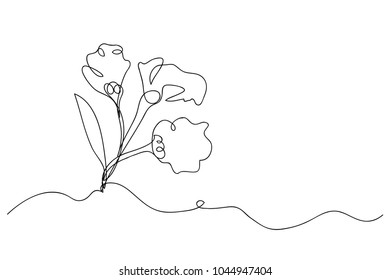 continuous line drawing of natural flowers vector illustration
