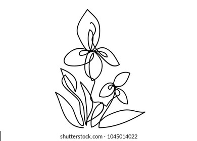 continuous line drawing of natural flowers vector illustration