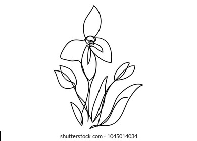 continuous line drawing of natural flowers vector illustration