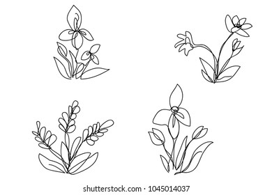 continuous line drawing of natural flowers vector illustration