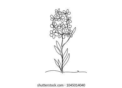 continuous line drawing of natural flowers vector illustration