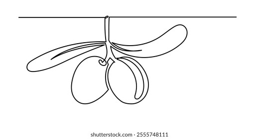 Continuous line drawing of olive branch.Line art of olive branch green fruit.
Hand-Drawn Olive Tree Berries Clipart. Food Design Template isolated on a white background.
