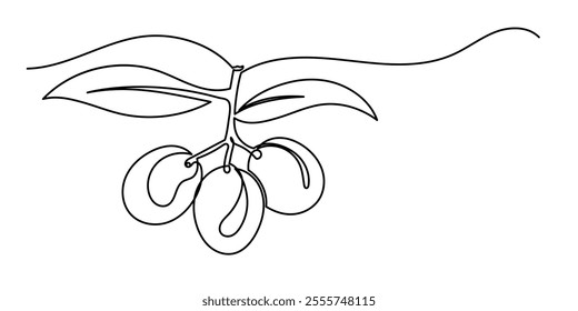 Continuous line drawing of olive branch.Line art of olive branch green fruit.
Hand-Drawn Olive Tree Berries Clipart. Food Design Template isolated on a white background.
