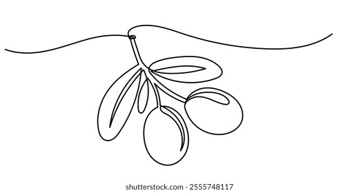 Continuous line drawing of olive branch.Line art of olive branch green fruit.
Hand-Drawn Olive Tree Berries Clipart. Food Design Template isolated on a white background.
