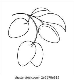 Continuous line drawing of olives in minimalist style perfect for Mediterranean cuisine concepts organic food decor kitchen themed art or healthy lifestyle illustrations
