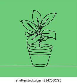 continuous line drawing on plants