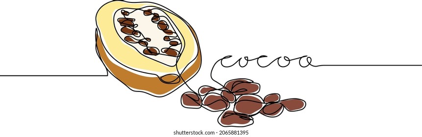 Continuous line drawing of open cocoa pod and cocoa beans with text COCOA. Minimalistic art.