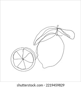 continuous line drawing orange citrus illustration vector isolated