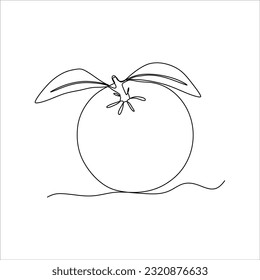 dibujo continuo de la fruta naranja