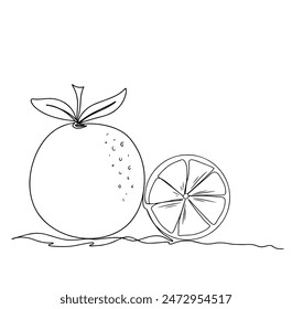continuous line drawing of orange fruit isolated on transparent background. Vector illustration