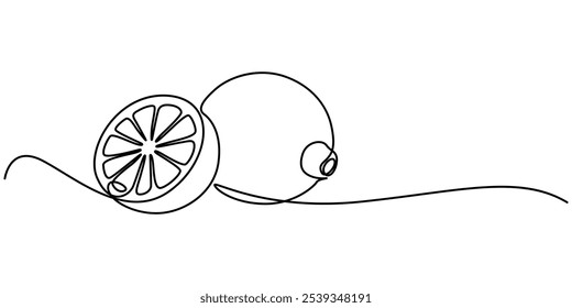 continuous line drawing of orange fruit isolated on transparent background. Vector illustration, Continuous single one line drawing of lemon lime fresh summer fruit vector illustration, Continuous one