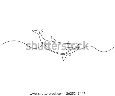 Continuous line drawing of orca whale. Single line illustration of killer whale. Predatory marine fish concept. Editable outline