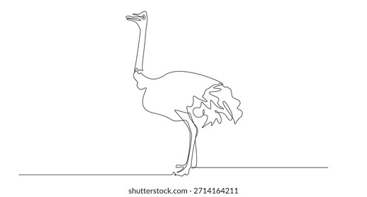 continuous line drawing of an ostrich standing calmly. one line drawing illustrating wildlife, minimal style, elegance, balance, and nature simplicity.