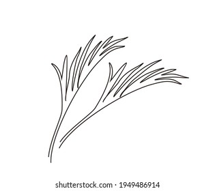 Continuous line drawing of palm leaves. Minimalist line art vector design.  
