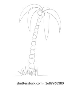 continuous line drawing of a palm tree